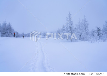 [Winter material] Silvery frost landscape [Nagano Prefecture] 134938245