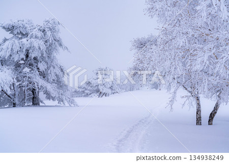 [Winter material] Silvery frost landscape [Nagano Prefecture] 134938249