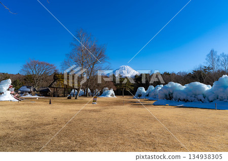 [Mt. Fuji material] Rime trees and scenery at the Lake Saiko Ice Festival [Yamanashi Prefecture] 134938305
