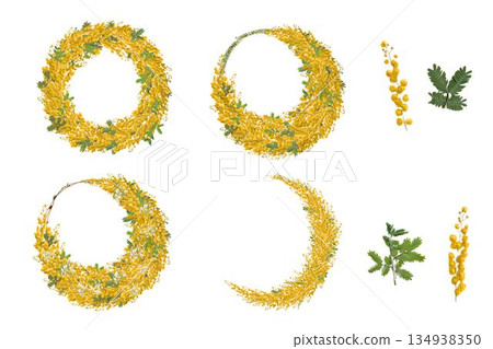 白色背景上的壓制含羞草花材、新月形花環及配件組合 白色背景上的壓制含羞草花材、新月形花環及配件組合 134938350