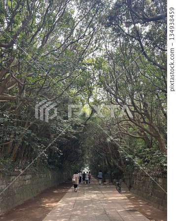 清酒路線伊豆前神社的方法 134938459