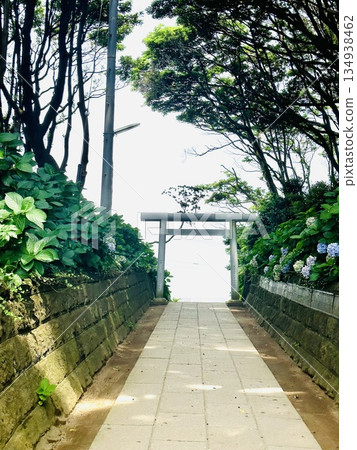 鳥居前往大海 鳥居前往大海 134938462