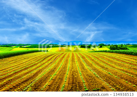 富良野的新景色 134938513
