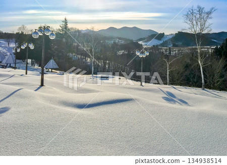 被雪覆蓋的路燈 被雪覆蓋的路燈 134938514