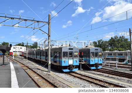 Izukyu Line 8000 series train Izukyu Line 8000 series train 134938606