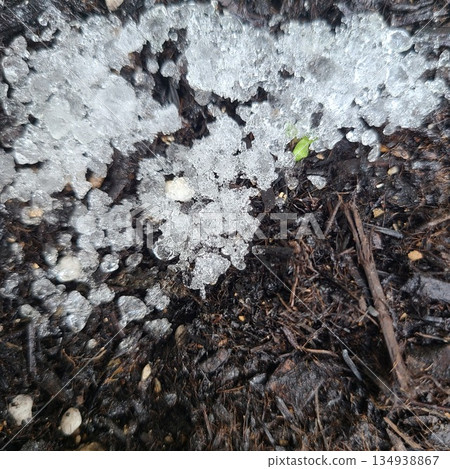Snow on the ground 134938867