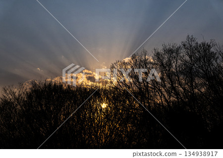 Photo of the silhouette of the forest and the rays of the setting sun at Sakuragaoka Park in Tokyo Photo of the silhouette of the forest and the rays of the setting sun at Sakuragaoka Park in Tokyo 134938917