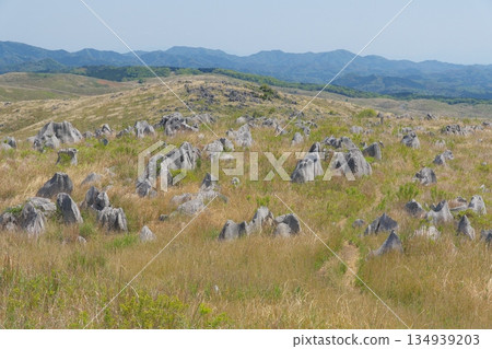 2025年春季：秋吉台和地獄台景色，殘存枯草。 134939203