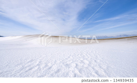 鳥取沙丘的雪景 鳥取沙丘的雪景 134939435