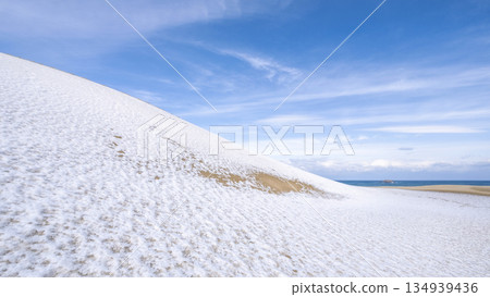 鳥取沙丘的雪景 134939436