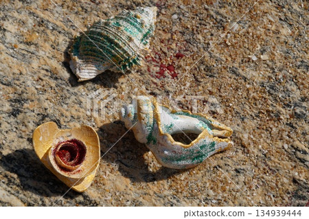 Seashells on a stone background. Several colorful, shiny seashells lie on a multi-colored stone. Seashells on a stone background. Several colorful, shiny seashells lie on a multi-colored stone. 134939444