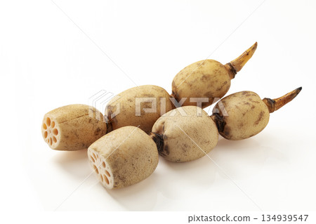 Lotus root on white background 134939547