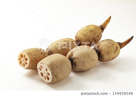白色背景上的蓮root 134939549