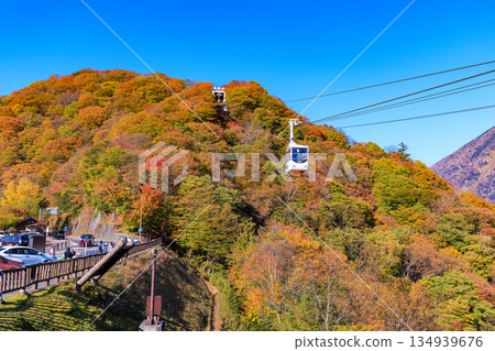Autumn leaves at Akechidaira, Nikko City, Tochigi Prefecture Autumn leaves at Akechidaira, Nikko City, Tochigi Prefecture 134939676