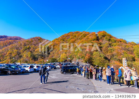 栃木縣日光市明智平的秋葉 栃木縣日光市明智平的秋葉 134939679