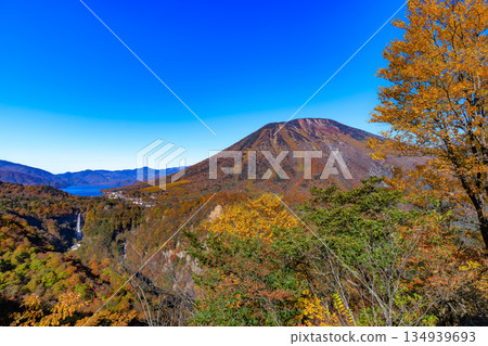 從明智平眺望栃木縣日光市、華嚴瀑布、中禪寺湖和男體山,秋色正濃。 從明智平眺望栃木縣日光市、華嚴瀑布、中禪寺湖和男體山,秋色正濃。 134939693