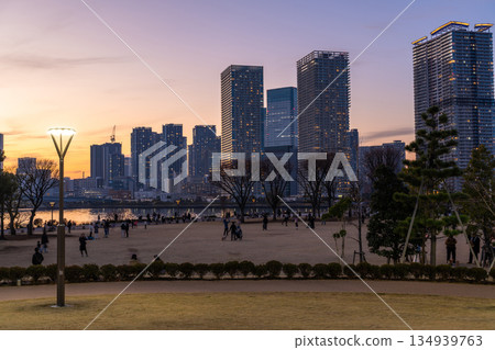 東京：豐洲古魯裡公園和晴見塔樓公寓的夜景 134939763