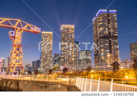 東京:豐洲灣地區及晴海塔樓公寓的夜景 東京:豐洲灣地區及晴海塔樓公寓的夜景 134939789