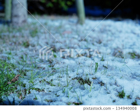 解凍的地面 134940008