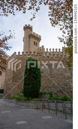 Almudaina Royal Palace, 13th-21st centuries. Palma, Mallorca, Balearic Islands, Spain 134940103