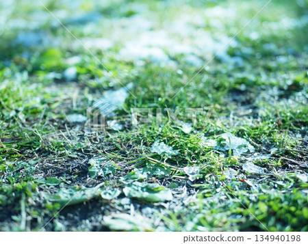 解凍的地面 134940198