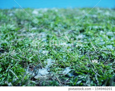 Melting snow bank Melting snow bank 134940201