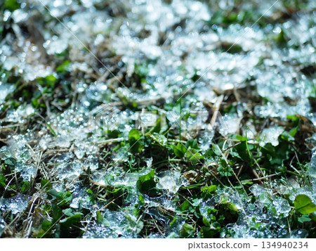 thawed ground 134940234