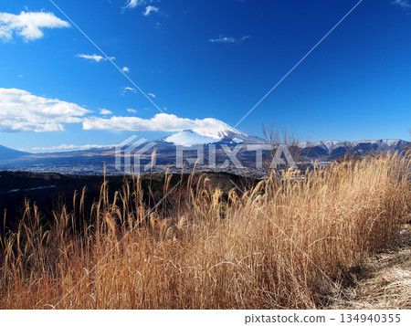 [Mountain scenery] Snow-capped Mount Fuji (from Mount Yagura) 134940355