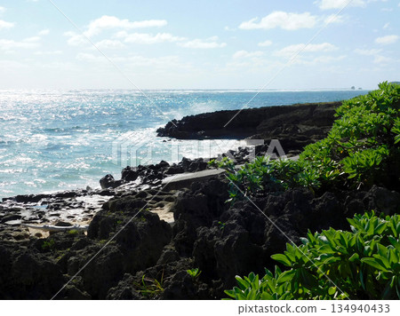 The coast in front of AJ Resort Island Ikeijima The coast in front of AJ Resort Island Ikeijima 134940433