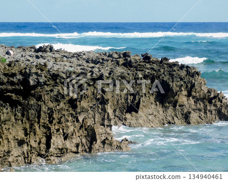The coast in front of AJ Resort Island Ikeijima The coast in front of AJ Resort Island Ikeijima 134940461