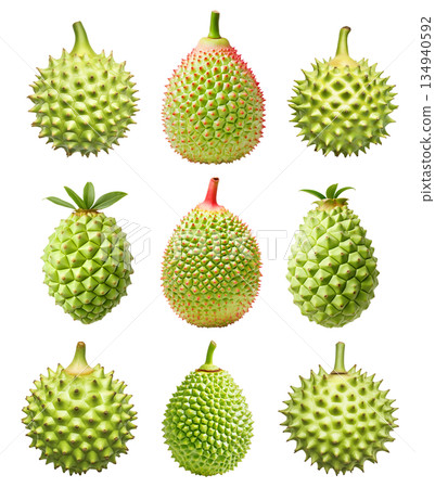 Set of green exotic spiky fruit Atemoya with a stem isolated on white transparent background. 134940592