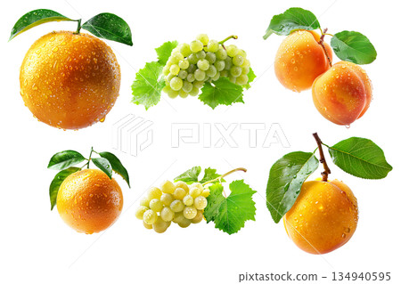 Set of apricot, grapefruit and red grapes hanging on the vine with green leaves isolated on white transparent background 134940595