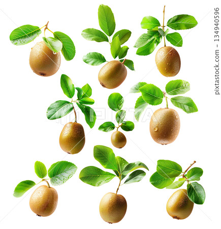 Set of kiwi fruits with vibrant green flesh and brown fuzzy skin, isolated on white transparent background. 134940596