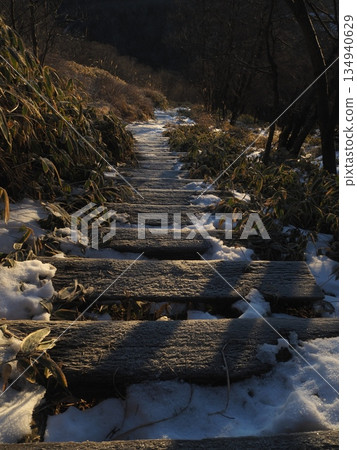 Frost-covered wooden stairs (20251223071312) Frost-covered wooden stairs (20251223071312) 134940629