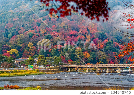 秋葉的Arashiyama 秋葉的Arashiyama 134940740