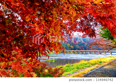 Arashiyama of autumn leaves 134940742