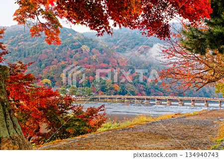 秋葉的Arashiyama 134940743