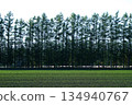 Otofuke Town Larch Avenue 134940767