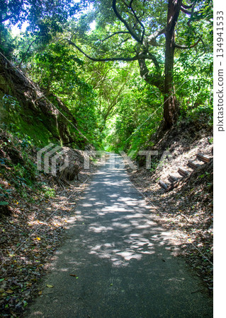 A mountain cut surrounded by trees A mountain cut surrounded by trees 134941533