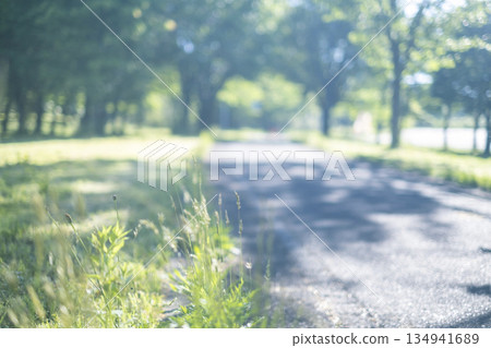 清新的綠意與初夏的騎乘形象（蒜山高原） 134941689