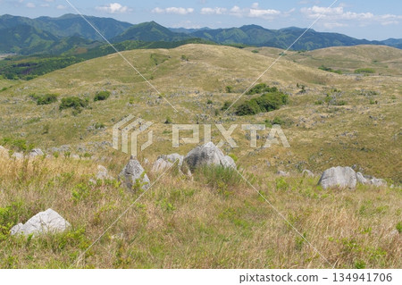 Spring 2025: Withered grass still remains on Akiyoshidai. View from Jigokudai towards Kitayama. 134941706