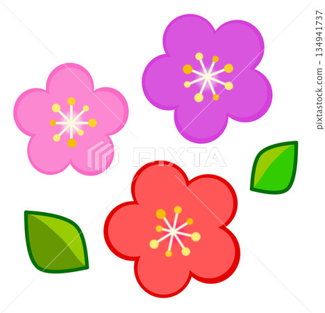 春天盛開的梅花插圖 春天盛開的梅花插圖 134941737
