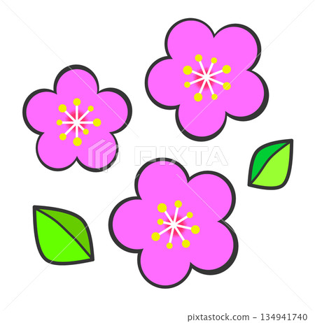 Illustration of plum blossoms blooming beautifully in spring 134941740