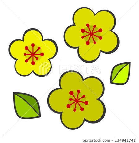 春天盛開的梅花插圖 134941741