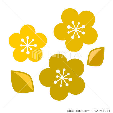 Illustration of plum blossoms blooming beautifully in spring 134941744