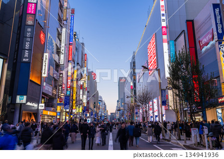 Tokyo: Shinjuku East Exit Pedestrian Mall and Downtown on Holidays 134941936