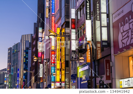 Tokyo: Shinjuku East Exit Pedestrian Mall and Downtown on Holidays 134941942