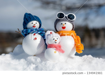 新雪和雪人一家 134941981