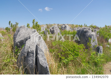 Akiyoshidai Jigokudai limestone Akiyoshidai Jigokudai limestone 134942070