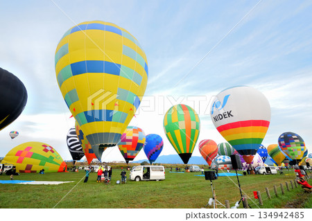 Hot air balloon · balloon 134942485
